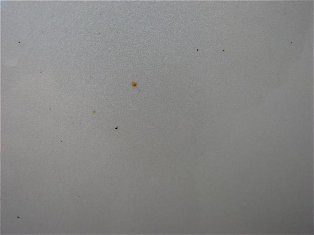 Tiny Rust Spots On Car Paint Tiny Rust Spots On Car Paint